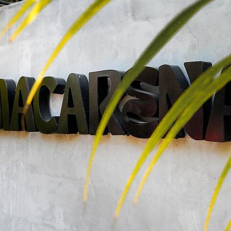 Macarena Paredon Villa El Paredón Buena Vista Dış mekan fotoğraf
